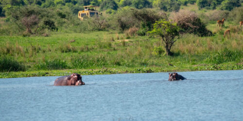8 Days Wildlife Safari Adventure in Uganda
