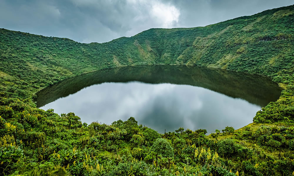 1 Day Mount Bisoke Crater Hike in Rwanda