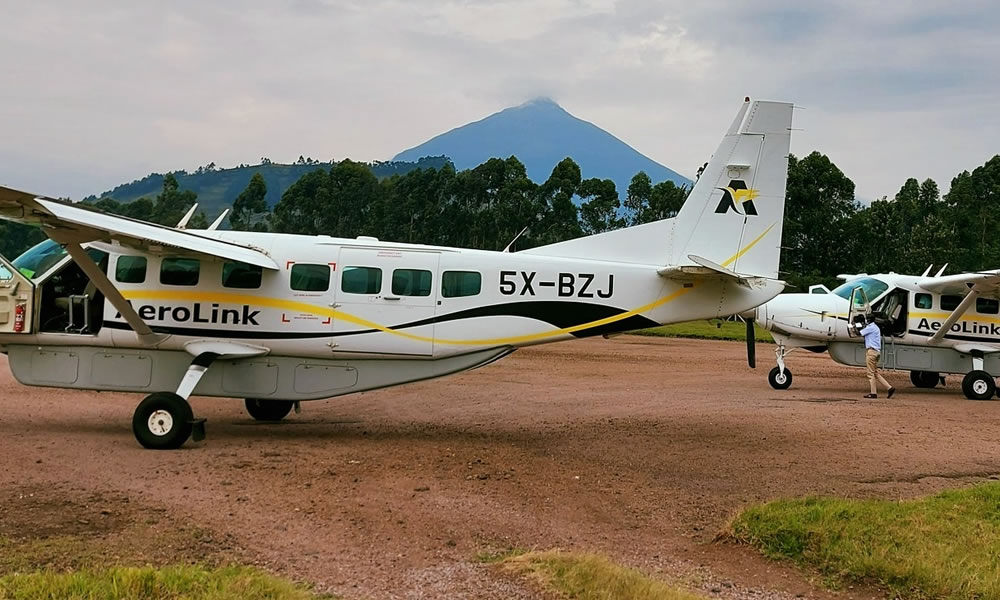 14 Days Luxury Wildlife Safari Tour in Uganda