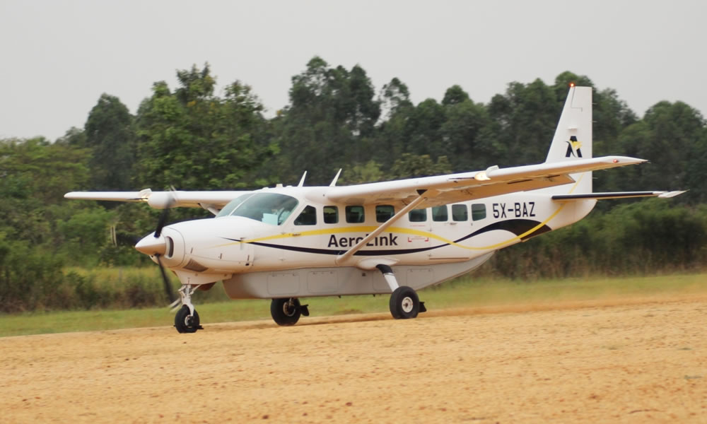 4 Days Flying Primate Tracking Uganda Safari