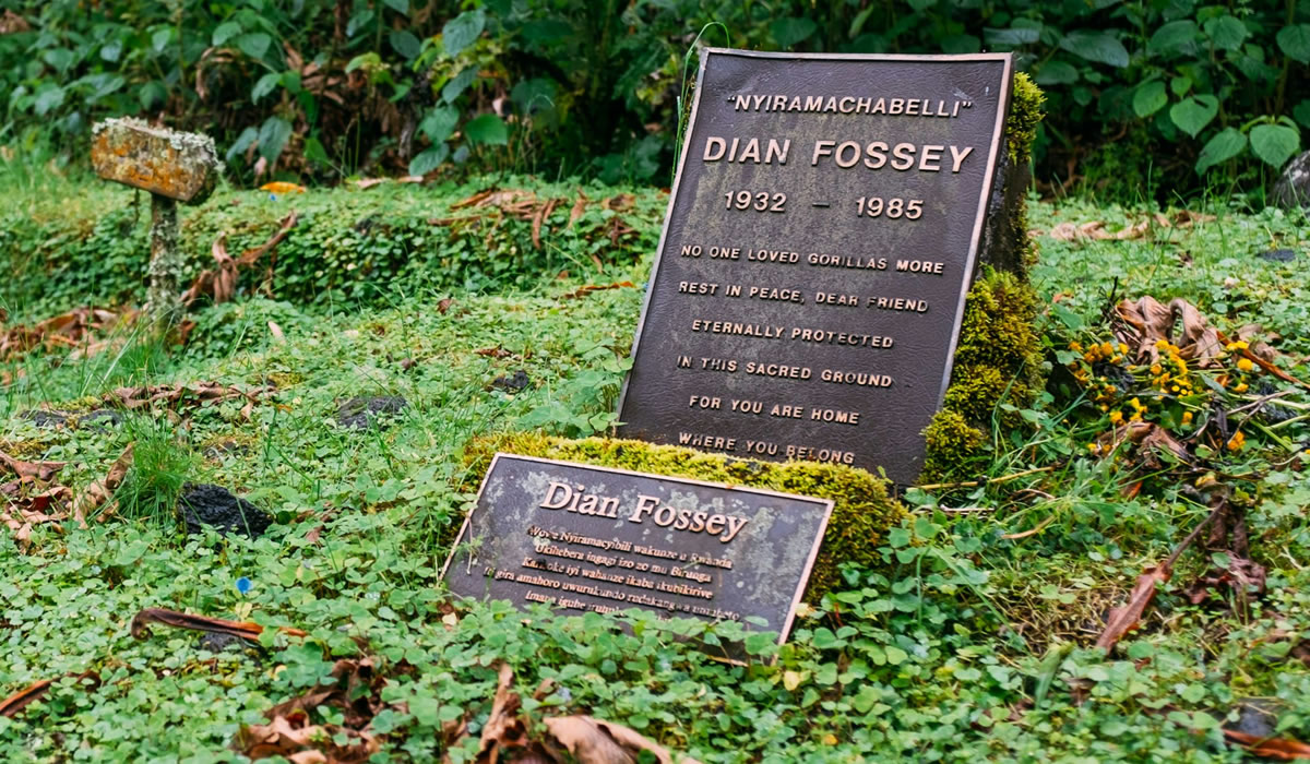 Hike to the Dian Fossey Grave in Rwanda