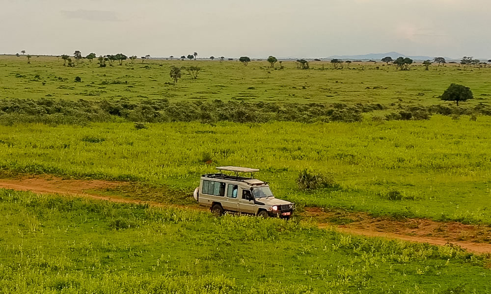 12 Days Luxury Uganda Wildlife Adventure