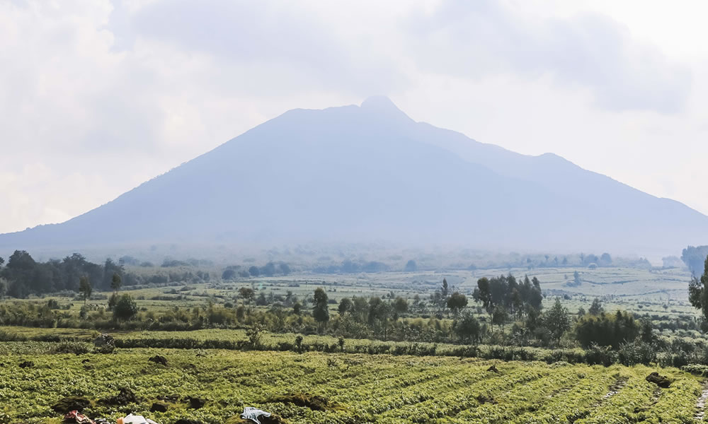 4 Days Mount Bisoke and Mount Karisimbi Hiking Tour