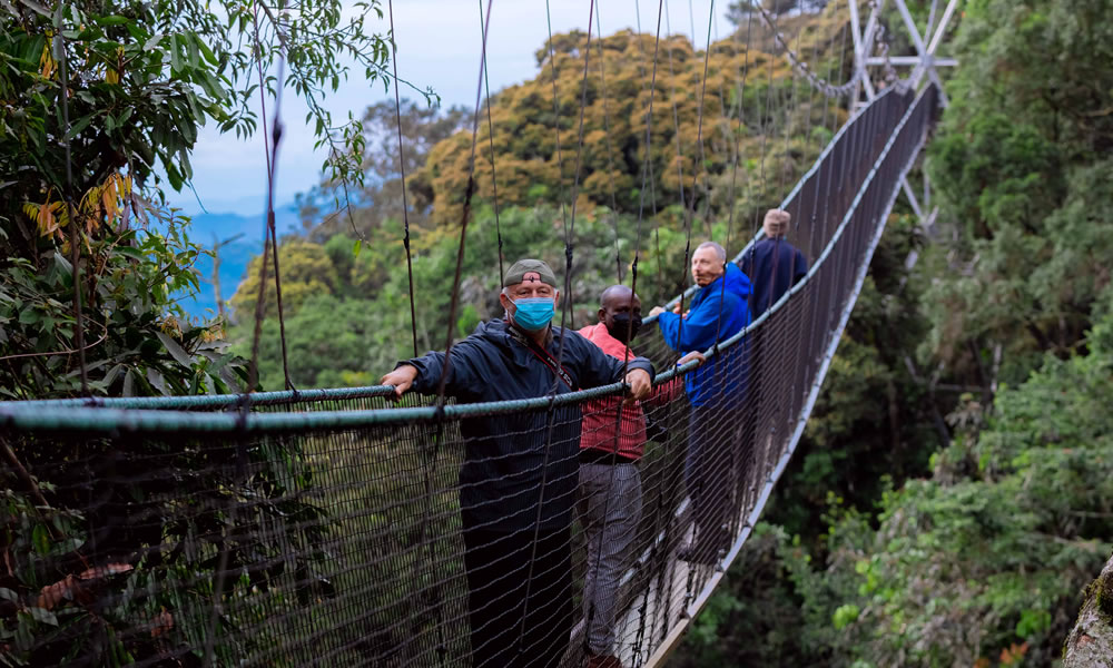 3 Days Nyungwe Chimpanzees and Canopy Walk Tour