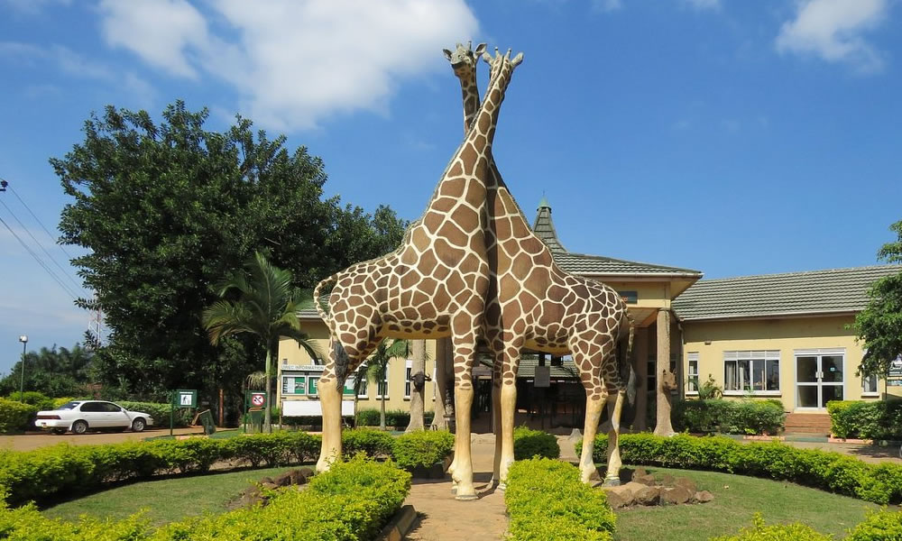 1 Day Entebbe Excursion in Uganda